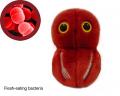 bacteria-flesheating copy